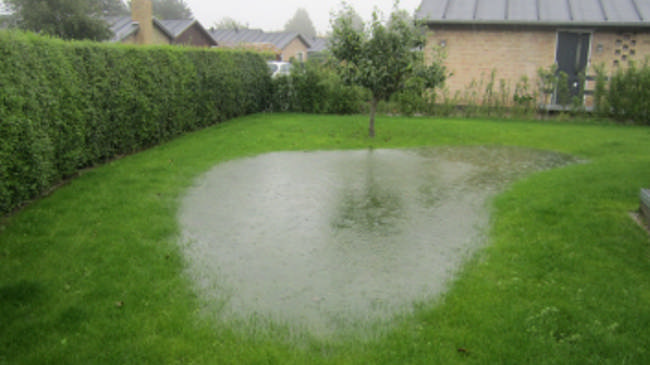 Forsideillustration til brochure.