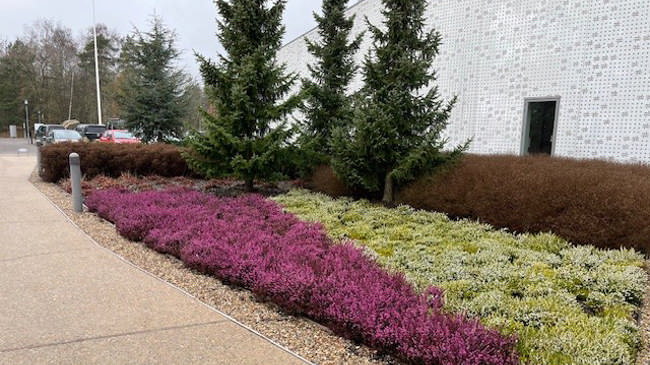 Beplantning ved indgang til Ren Forsyning Mariagerfjord. Foto: Ren Forsyning Mariagerfjord.